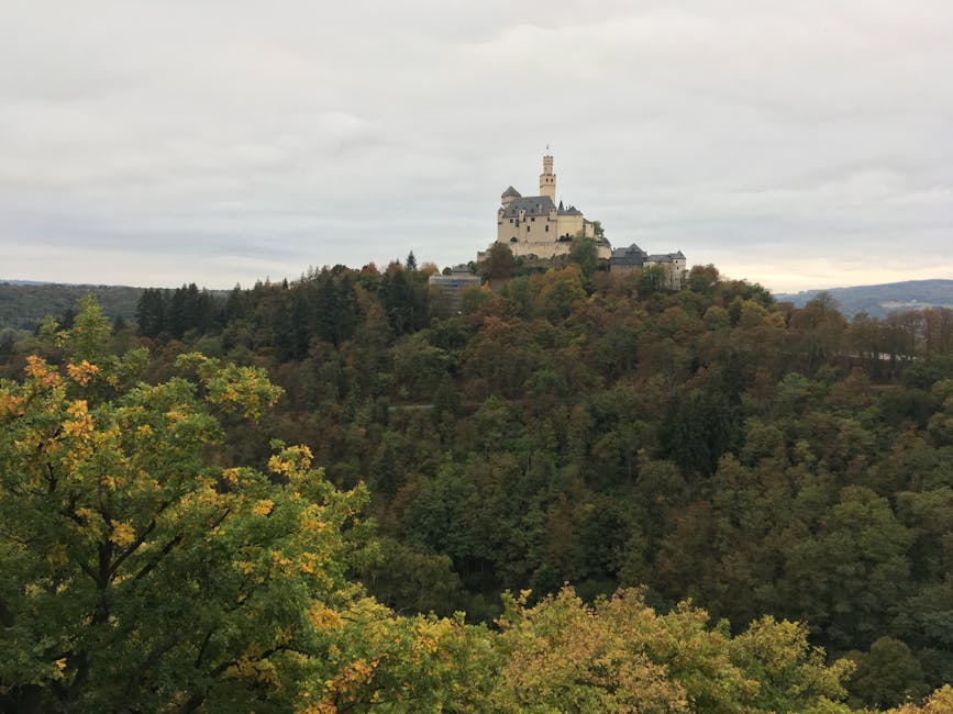 Scenic view of Marksburg Castle atop a forested hill with vibrant fall colors under an overcast sky.