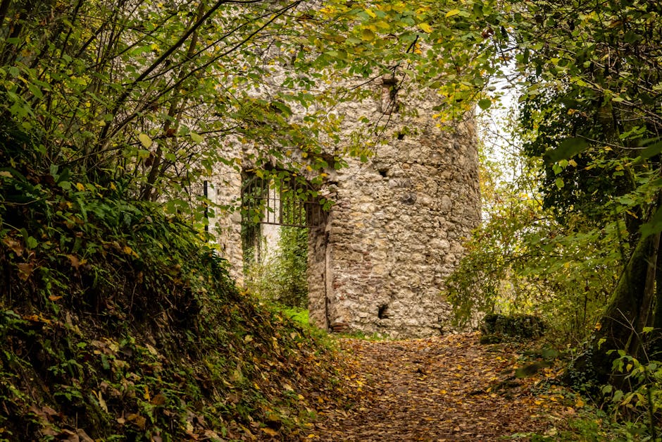 Explore the mystery of an old stone tower nestled in Samobor's autumn woods.