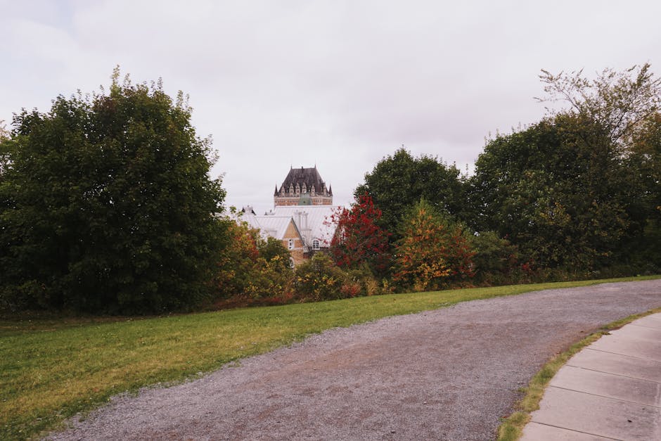 Pathway leading to Château Frontenac hidden behind autumn trees in Quebec City.
