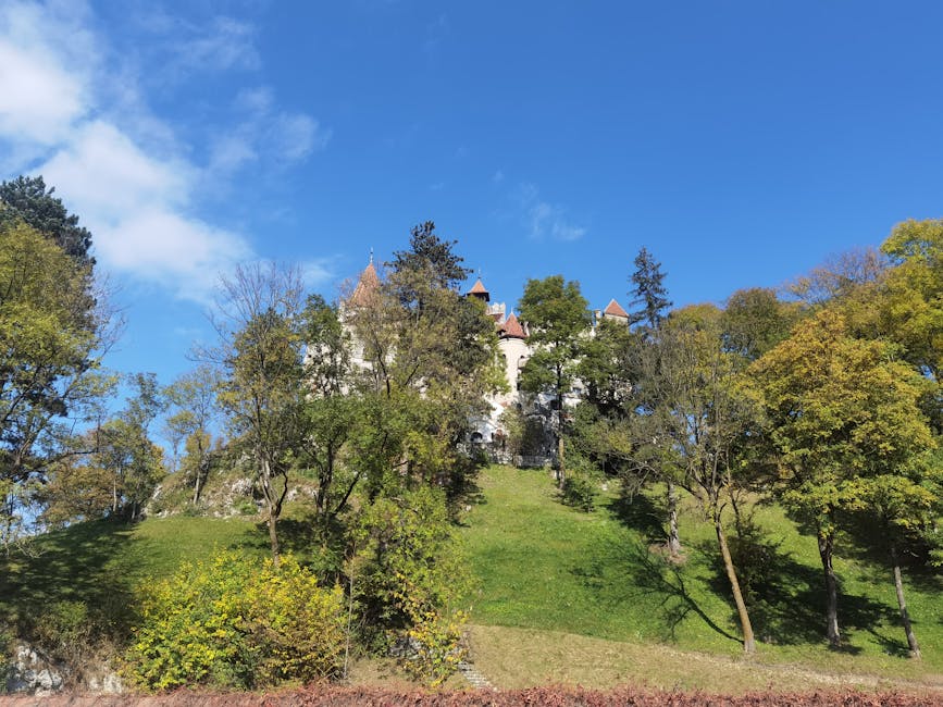 Scenic view of Bran Castle nestled among lush trees under a clear blue sky.