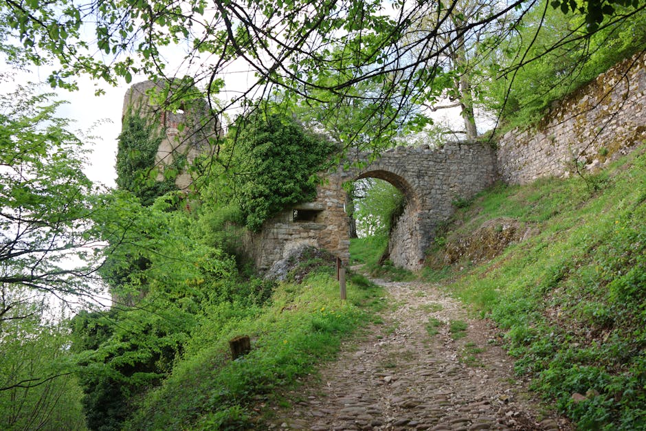 A scenic view of ancient castle ruins surrounded by lush greenery in Ferrette, France.